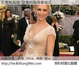 礼堂和明星比胸圍的結果