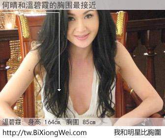 何晴和明星比胸圍的結果