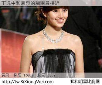 丁逸中和明星比胸圍的結果