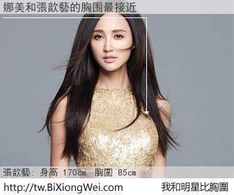 娜美和明星比胸圍的結果