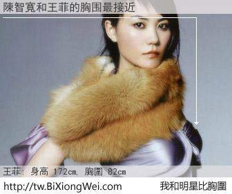 陳智寬和明星比胸圍的結果