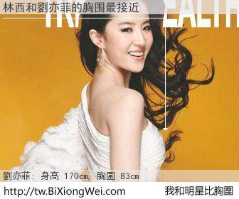 林西和明星比胸圍的結果