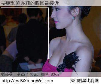 要嘛和明星比胸圍的結果