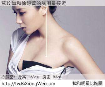 蘇玟如和明星比胸圍的結果