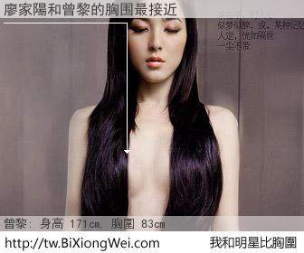 廖家陽和明星比胸圍的結果