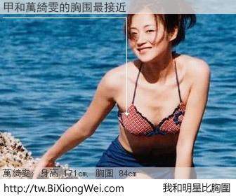 甲和明星比胸圍的結果