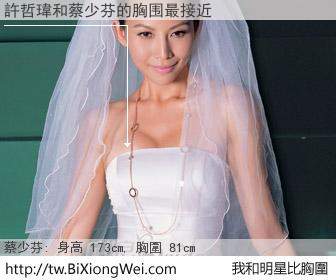 許哲瑋和明星比胸圍的結果