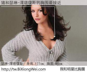 猪和明星比胸圍的結果