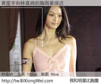 黄星宇和明星比胸圍的結果