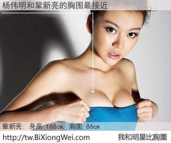 杨伟明和明星比胸圍的結果