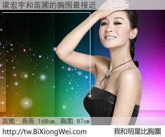 梁宏宇和明星比胸圍的結果