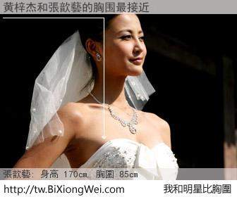 黄梓杰和明星比胸圍的結果