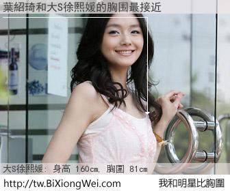 葉紹琦和明星比胸圍的結果