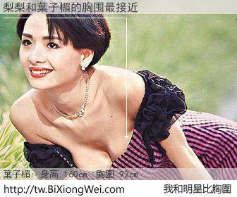 梨梨和明星比胸圍的結果