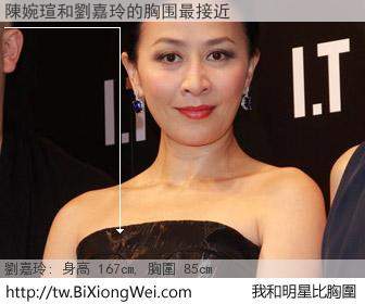 陳婉瑄和明星比胸圍的結果