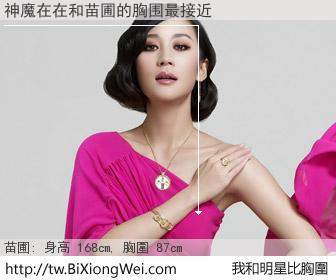 神魔在在和明星比胸圍的結果