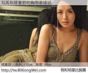 刘禹和明星比胸圍的結果