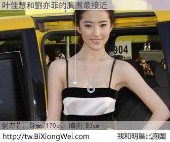 叶佳慧和明星比胸圍的結果