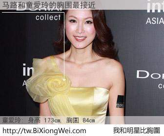 马路和明星比胸圍的結果