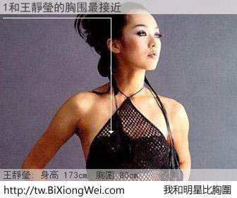 1和明星比胸圍的結果