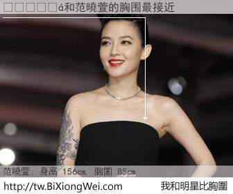 �����和明星比胸圍的結果