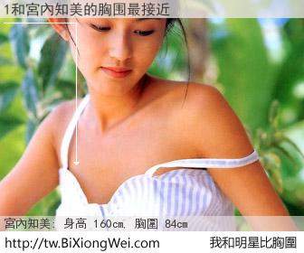 1和明星比胸圍的結果