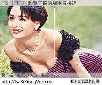 �S��和明星比胸圍的結果
