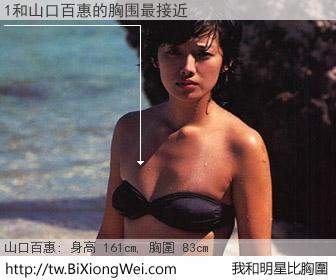 1和明星比胸圍的結果