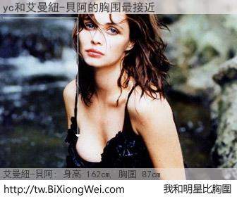 yc和明星比胸圍的結果