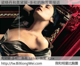 梁晓丹和明星比胸圍的結果