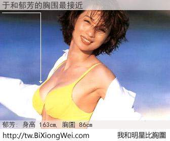 于和明星比胸圍的結果