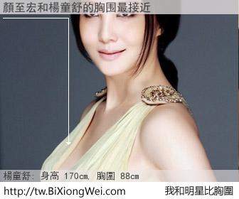 顏至宏和明星比胸圍的結果