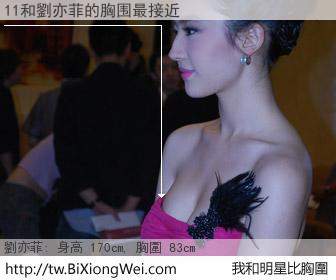 11和明星比胸圍的結果