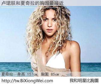 卢珺朕和明星比胸圍的結果