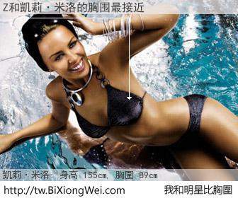 Z和明星比胸圍的結果