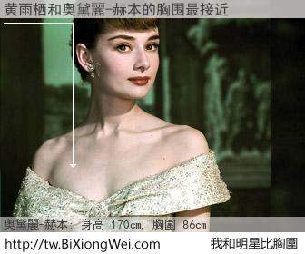 黄雨栖和明星比胸圍的結果