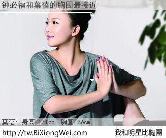 钟必福和明星比胸圍的結果