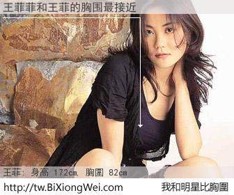 王菲菲和明星比胸圍的結果