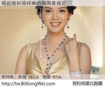 楊益維和明星比胸圍的結果