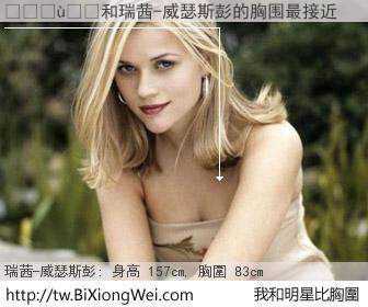 ������和明星比胸圍的結果