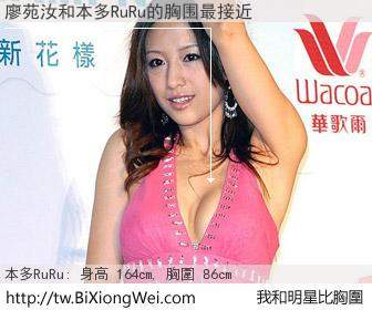廖苑汝和明星比胸圍的結果