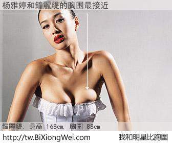 杨雅婷和明星比胸圍的結果