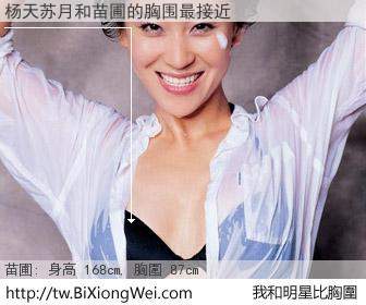杨天苏月和明星比胸圍的結果