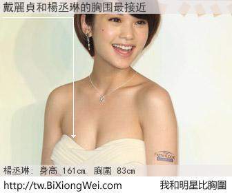 戴麗貞和明星比胸圍的結果