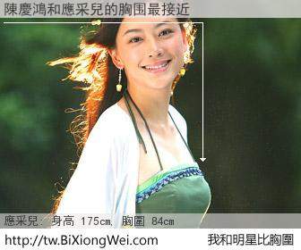 陳慶鴻和明星比胸圍的結果