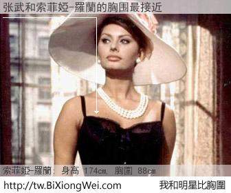 张武和明星比胸圍的結果