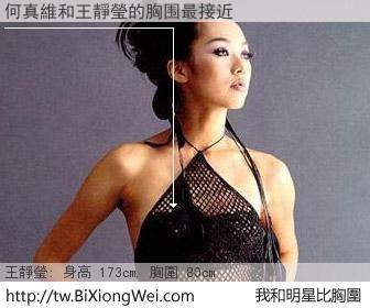 何真維和明星比胸圍的結果