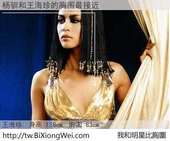 杨驯和明星比胸圍的結果