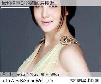 我和明星比胸圍的結果