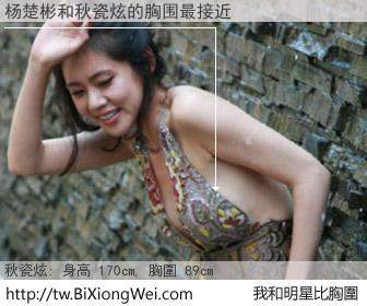 杨楚彬和明星比胸圍的結果